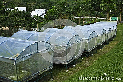 HYDROPONIC FARM Stock Photography - Image: 16687192