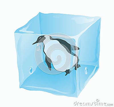 Ice cube in which the penguin