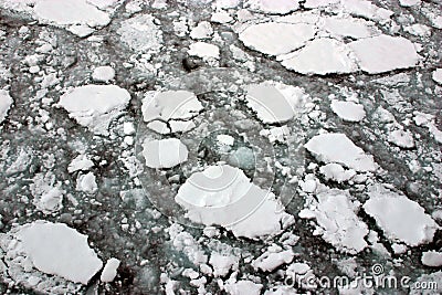 Ice melting in the sea, black and white photo