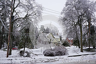 Ice Storm - December 22, 2013 Southern Ontario