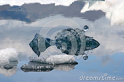 Iceberg from a lake in Iceland