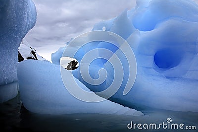 Icebergs in Antactica