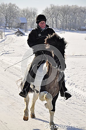 Icelandic horse competition