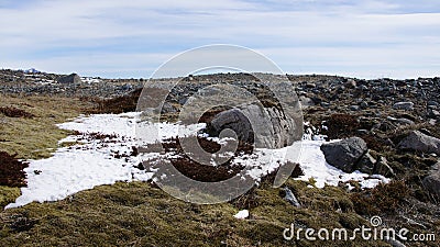 Icelandic landscape with elf bread