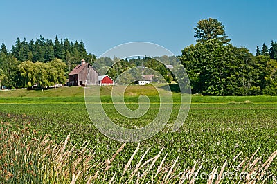 Idyllic Family Farm Landscape