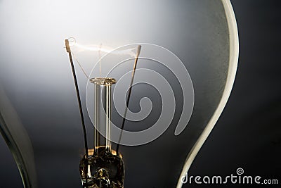 Illuminated Light Bulb