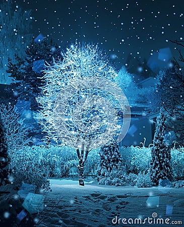 Illuminated tree winter garden snowfall fantasy