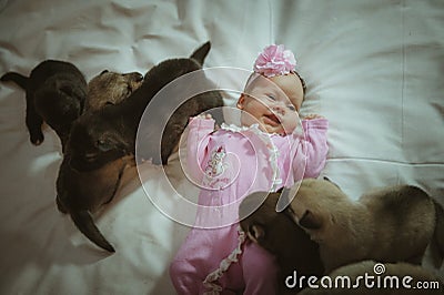 Image of cute little girl in pink suit and puppies