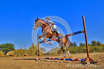 Jockey with purebred horse