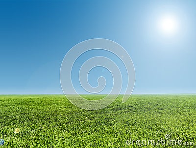 Image of green grass field and blue sky