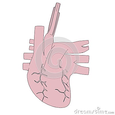 Image Of Human Heart Royalty Free Stock Images - Image: 36940259