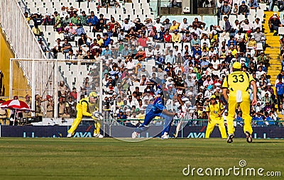 India versus Australia cricket