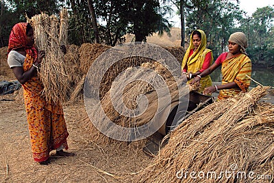 Indian Agriculture