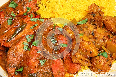 Indian Chicken Curry Meal with Rice and Potato