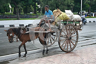 Indian horse cart in the environmental initiative.