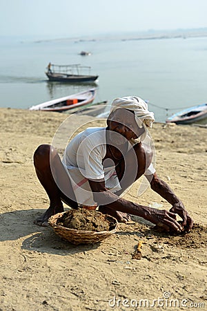 Indian Old Man Collecting Cow Shit