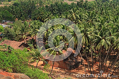 Indian rural landscape