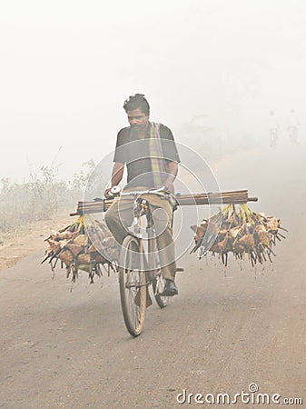Indian rural rat-catcher