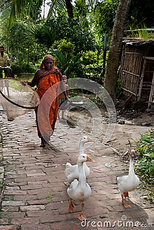 Indian village life