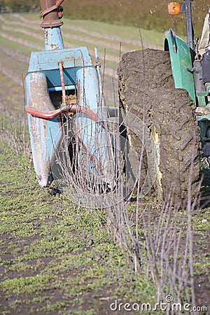 Industrial Plant Trimmer