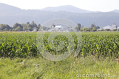 Industry and Agricultural Land