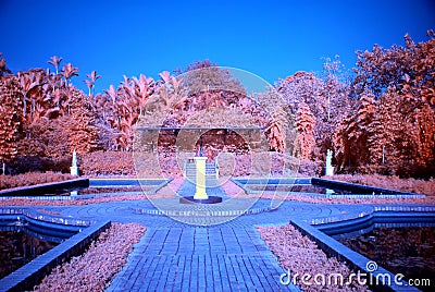 Infrared photo – tree and park