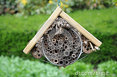 Insect hotel