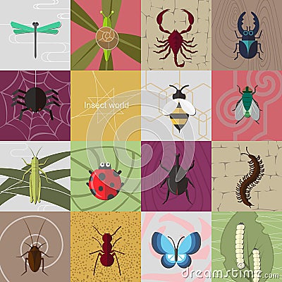Insect world
