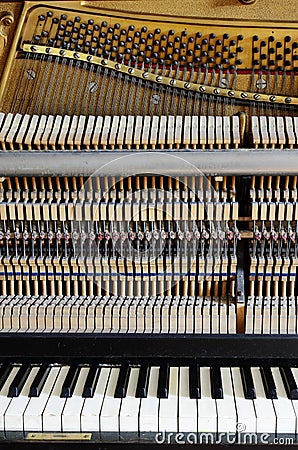 Inside the piano: string, pins, keys