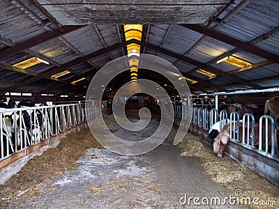 The interior of a barn