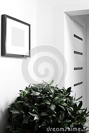 Interior of bright hallway home