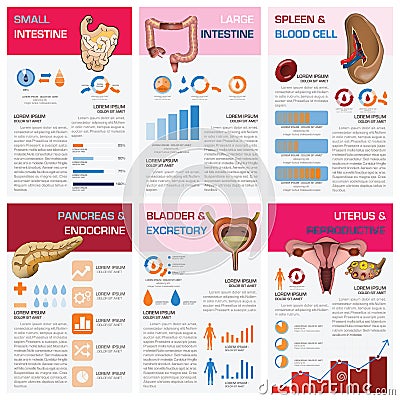 Human Health Informations