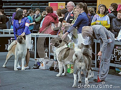 International dog show