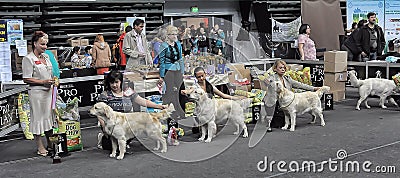 International dog show