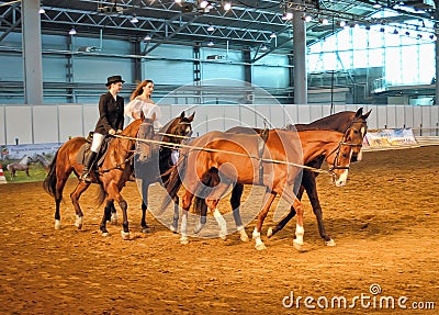 International Horse Exhibition