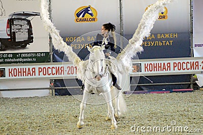 International Horse Show. Female rider on a white horse. Pegasus. White Wings Woman jockey in blue dress