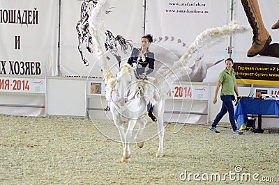 International Horse Show. Female rider on a white horse. Pegasus. Woman jockey in blue dress White Wings
