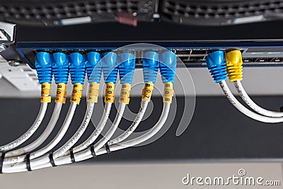 Internet Connected with LAN cables.