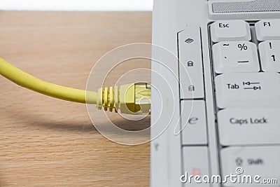 Internet Network cable are connected to computer