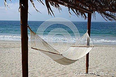 Inviting hammock on the beach