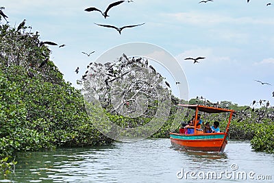 Island of frigate birds boat ride