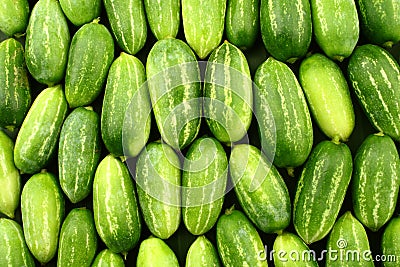 Ivy Gourd Stock Photography - Image: 