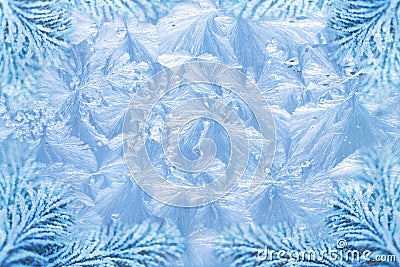 Jack frost ice crystal patterns & snowy spruce