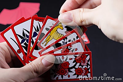 Japanese card game hanafuda