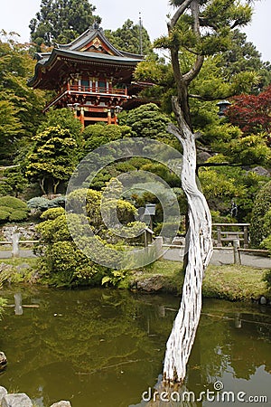 Japanese Pagoda and Tree