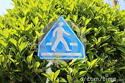 Japanese Pedestrian Crossing Street Sign