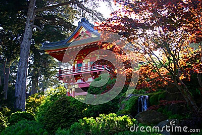 Japanese Tea Garden, San Francisco