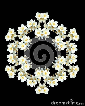 Jasmine flowers kaleidoscope - isolated