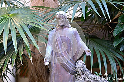 Jesus under the old man palm