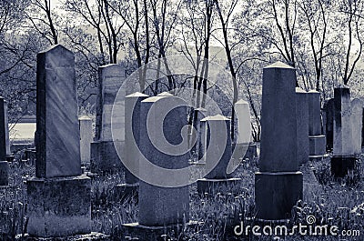 Jewish cementery